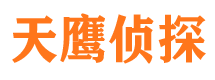 方山侦探社